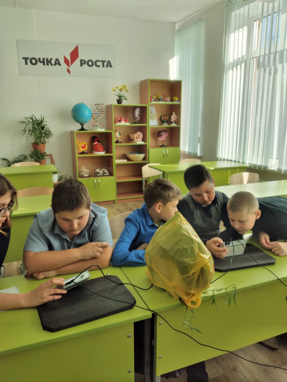 Опыт по испарению воды листьями до и после полива